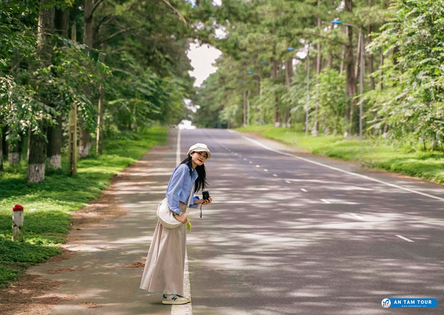 Khám Phá Vẻ Đẹp Tuyệt Diệu Của Du Lịch Măng Đen Mùa Nào Đẹp Nhất