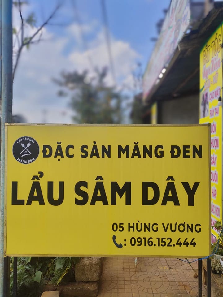 Trà sâm dây Măng Đen