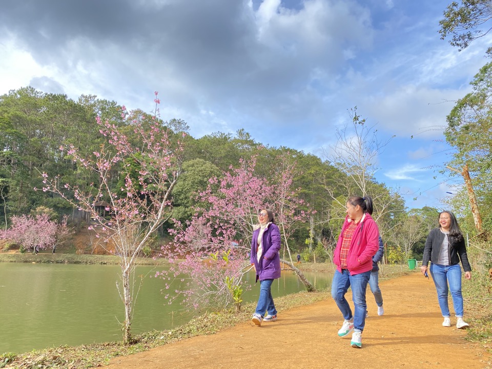 Măng Đen Măng Đen