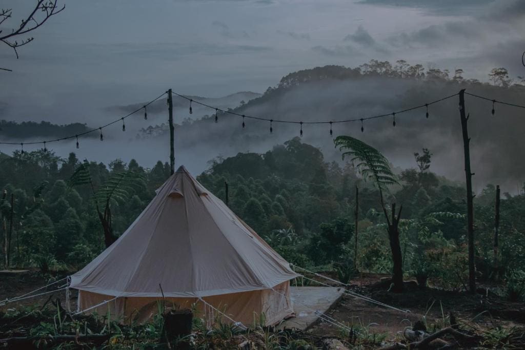 Đèo Violak Măng Đen mây Đèo Violak Măng Đen mây