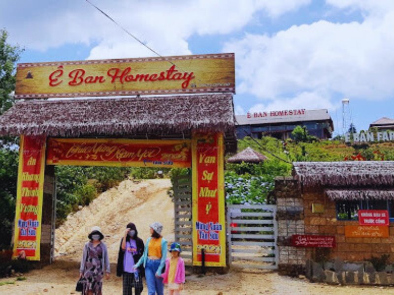 Biển mây Măng Đen bình minh Biển mây Măng Đen bình minh