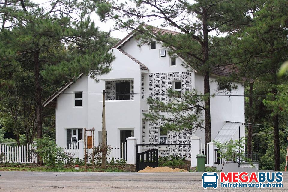 *   Homestay Măng Đen