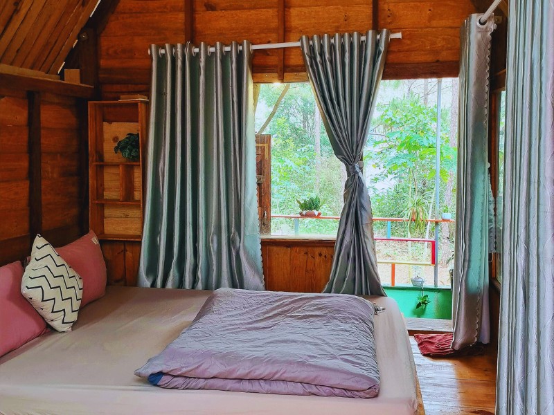 Homestay gỗ Măng Đen rừng thông