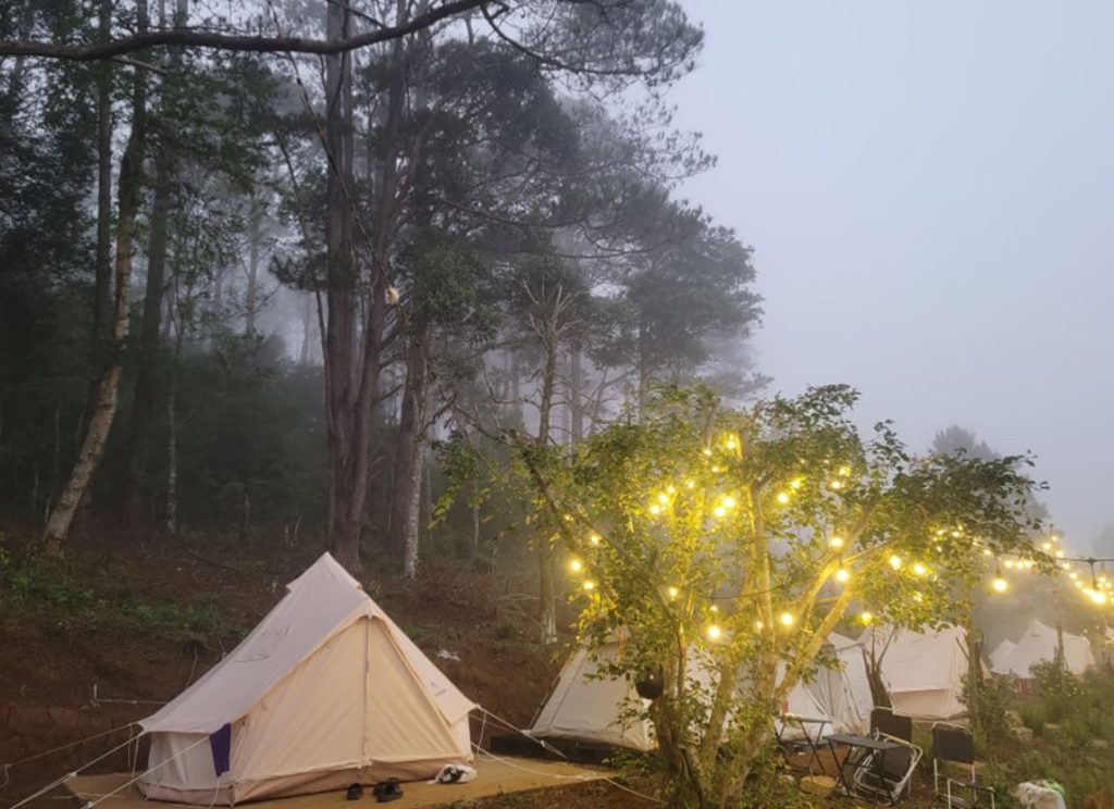 Cắm trại săn mây Măng Đen Cắm trại săn mây Măng Đen