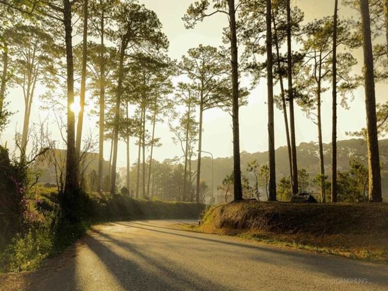 Lửa trại BBQ Măng Đen, Măng Đen lửa trại tiệc nướng, Cắm trại BBQ Măng Đen, Nướng ngoài trời Măng Đen lửa trại Lửa trại BBQ Măng Đen, Măng Đen lửa trại tiệc nướng, Cắm trại BBQ Măng Đen, Nướng ngoài trời Măng Đen lửa trại