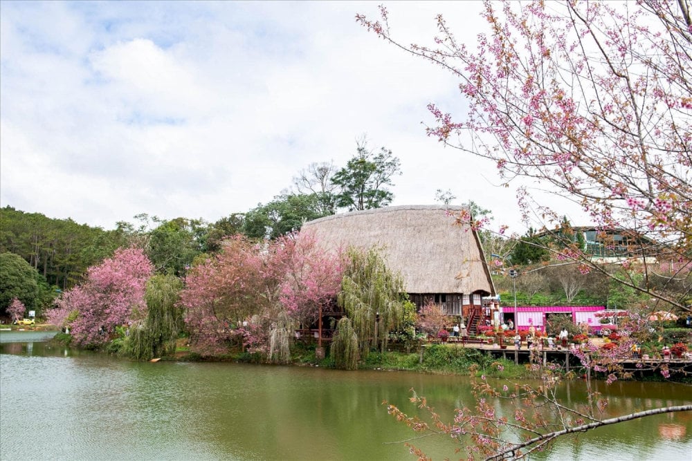 Cơm lam gà nướng Măng Đen